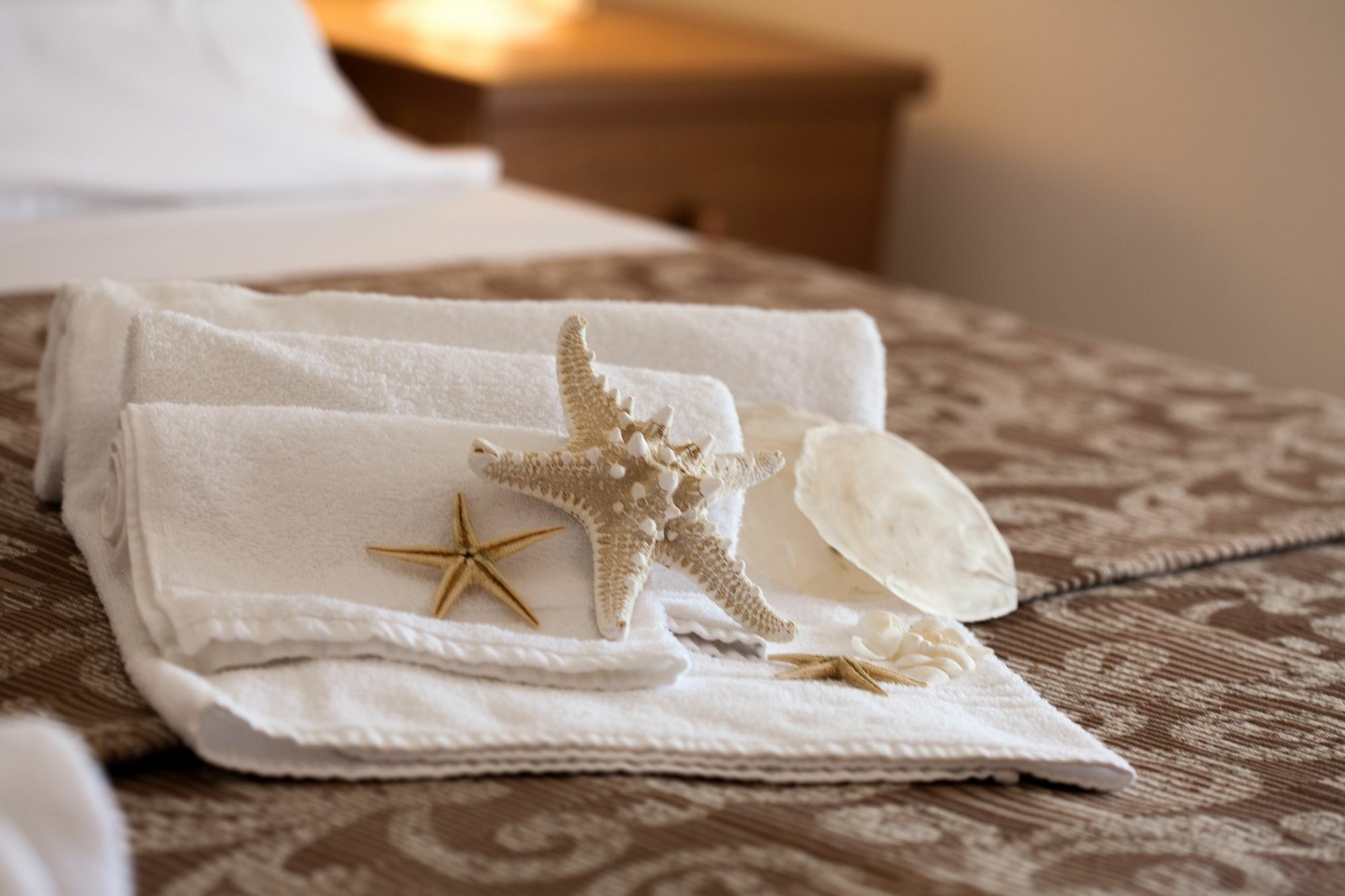 Hotel Umberto 리도 디 예솔로 외부 사진